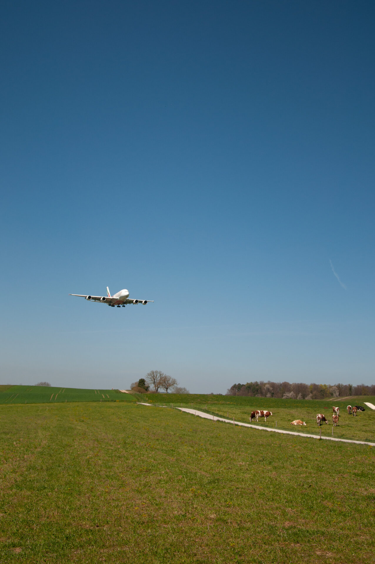Emirates Airbus A380-861 (04/25) von Aviation-Pix