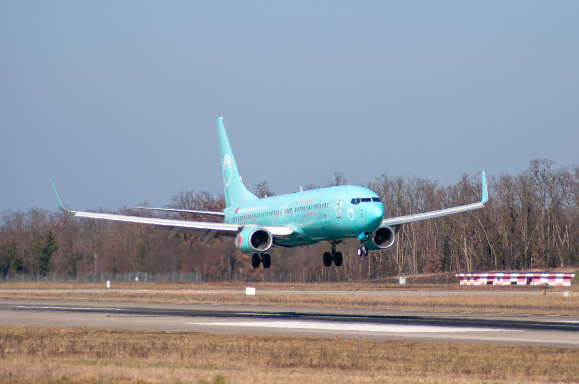 SunExpress Livery