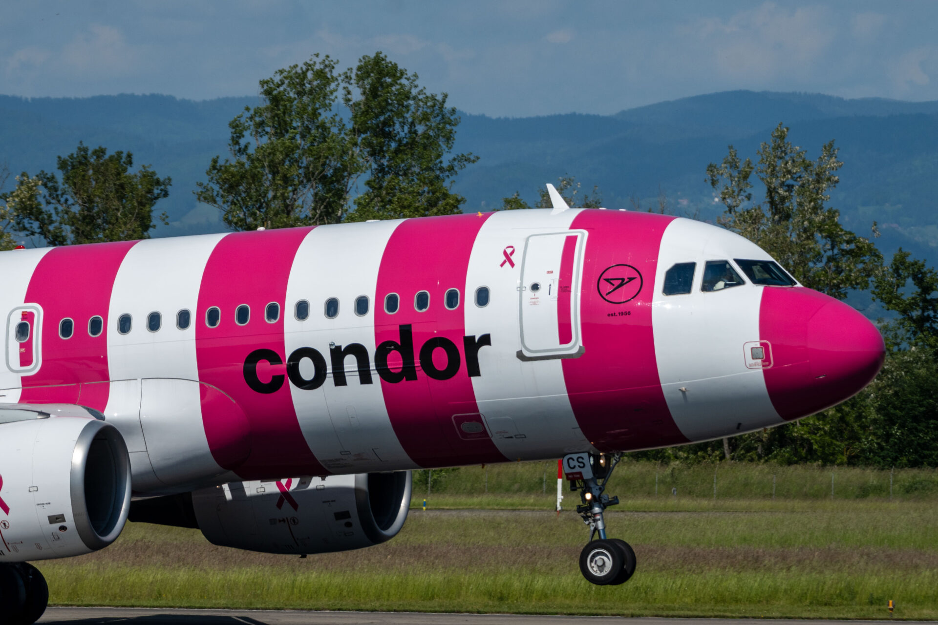 Condor Pink D-AICS in BSL
