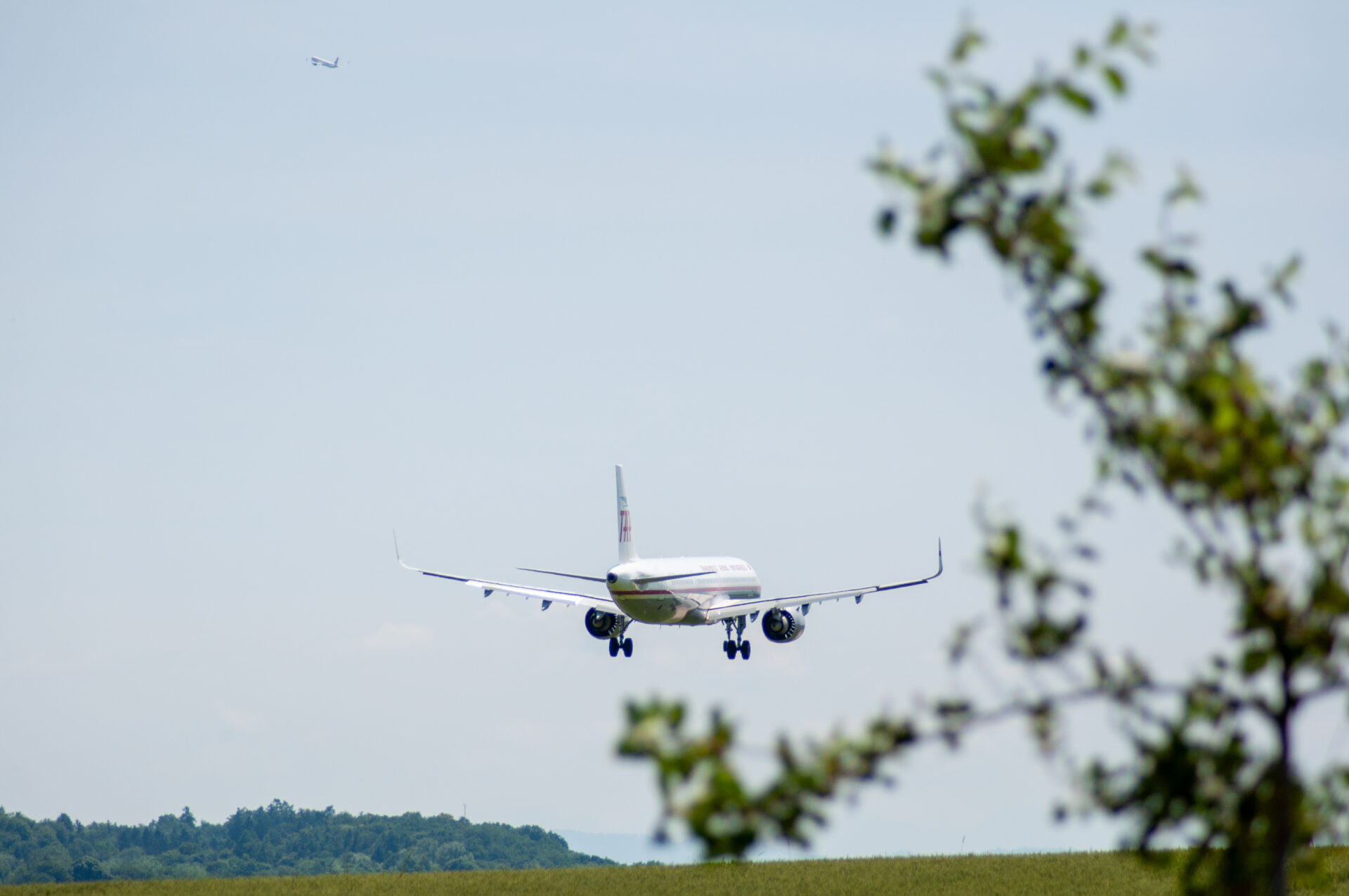 TAP Airbus A321 CS-TJR 06/25 von Aviation-Pix