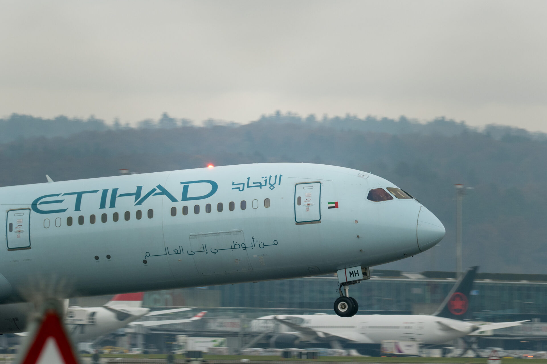 Greenliner Livery der Fluggesellschaft Etihad